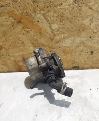 Nissan Qashqai Vacuum pump 8201005306B