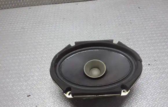 Rear door speaker