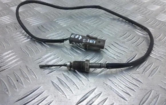 Peugeot 607 Exhaust gas temperature sensor 9639721980