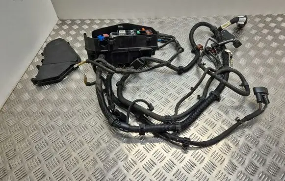 Fuse module