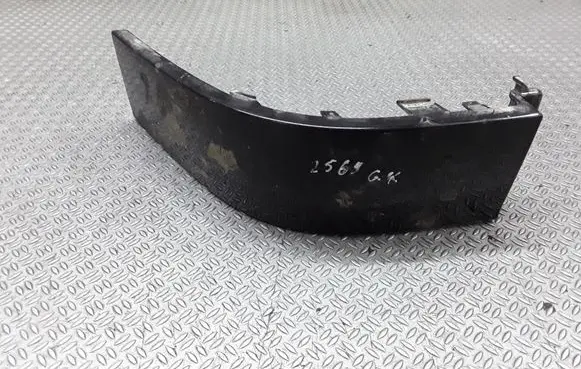 Rear/tail light trim molding