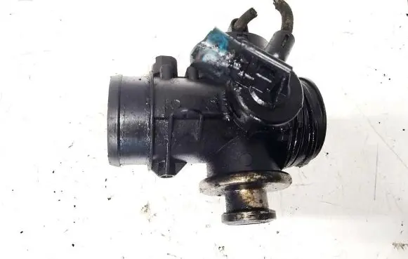 Citroen Xsara Throttle valve 220399