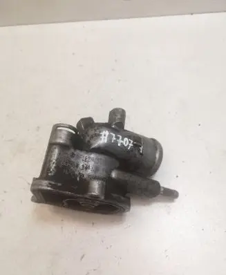 Thermostat/thermostat housing