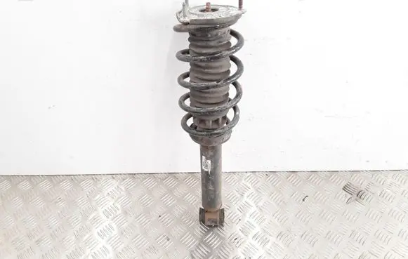 Peugeot 407 Front shock absorber with coil spring 4858