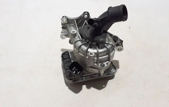 Renault Austral Water pump 210100445R