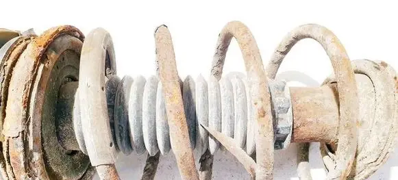 Peugeot 406 Front coil spring 