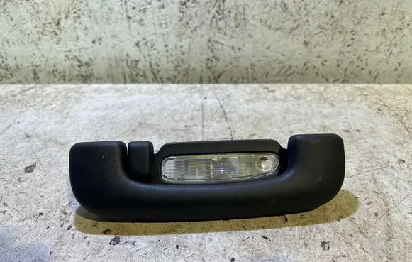 Dodge Charger Rear interior roof grab handle 1RV80