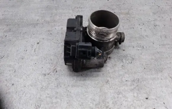 Throttle body valve