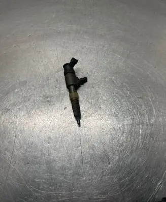 Citroen C3 Fuel injector 0445110339