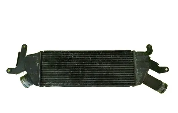 Citroen C-Crosser Intercooler radiator 