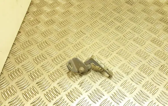 Rear door lower hinge