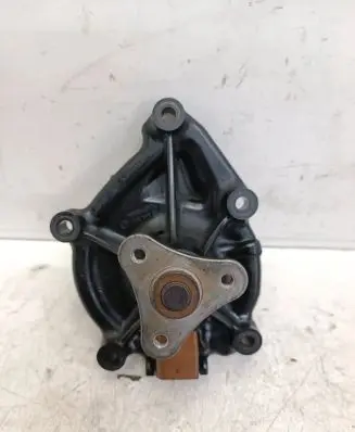 Peugeot 3008 I Water pump V755699380