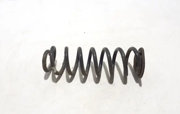 Rear coil spring