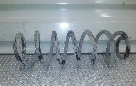 Volkswagen PASSAT B6 Rear coil spring 