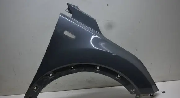 Fender
