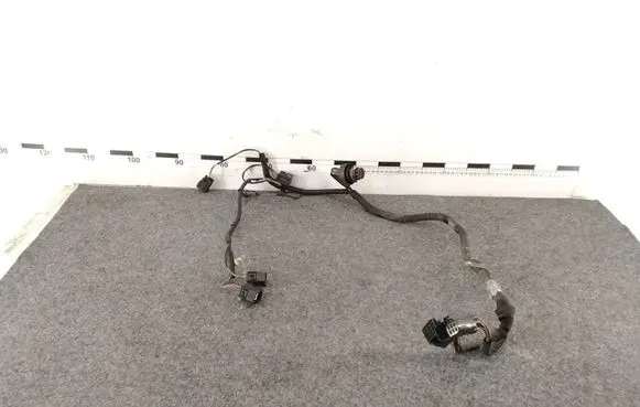 Jaguar XF X250 Other wiring loom 1105010328