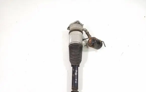 Audi A8 S8 D3 4E Rear shock absorber/damper 4E0616001E
