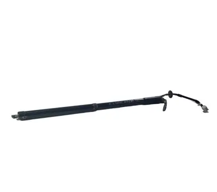 Tailgate strut