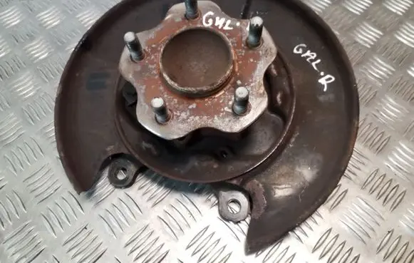Nissan Juke I F15 Rear wheel hub