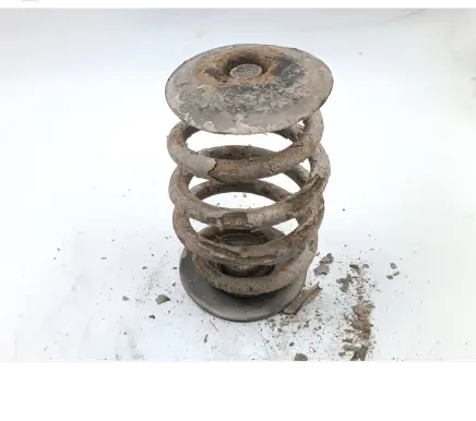 Rear coil spring