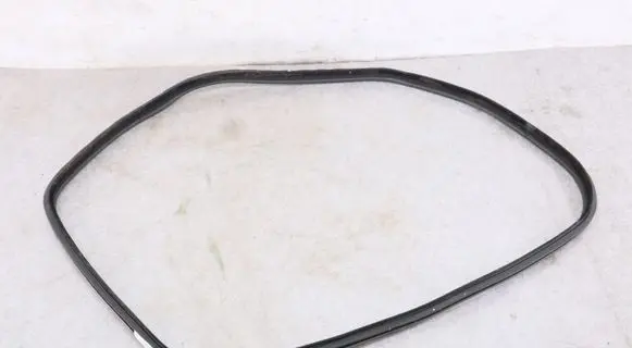 BMW 3 GT F34 Rubber seal rear door 7385028 51767385028