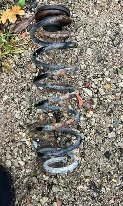Rear coil spring