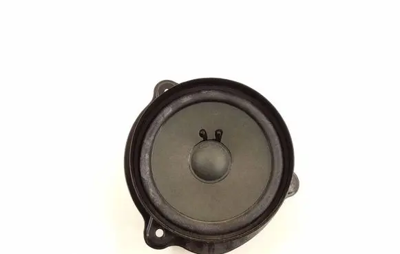 Mercedes-Benz CLS C219 Front door speaker 2198200502 A2198200502