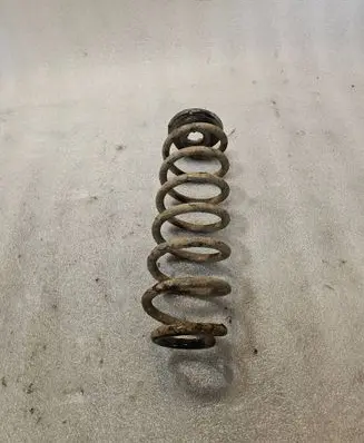 Volkswagen PASSAT B6 Rear coil spring