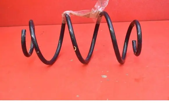 Dacia Dokker Rear coil spring 