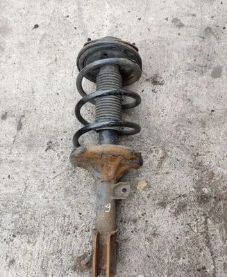 Hyundai Santa Fe Front shock absorber with coil spring