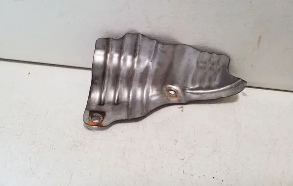 Exhaust heat shield