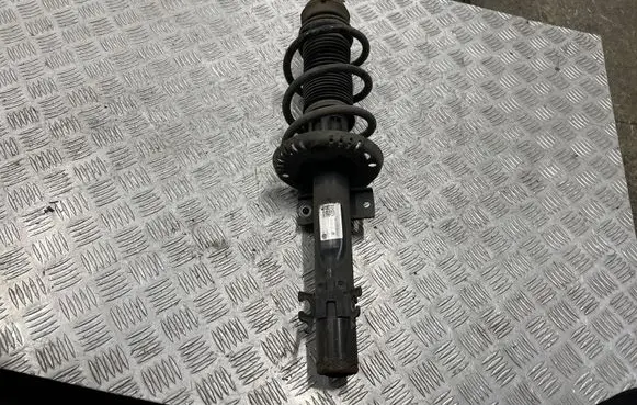 Skoda Fabia Mk3 (NJ) Front shock absorber/damper 6R0413031AR