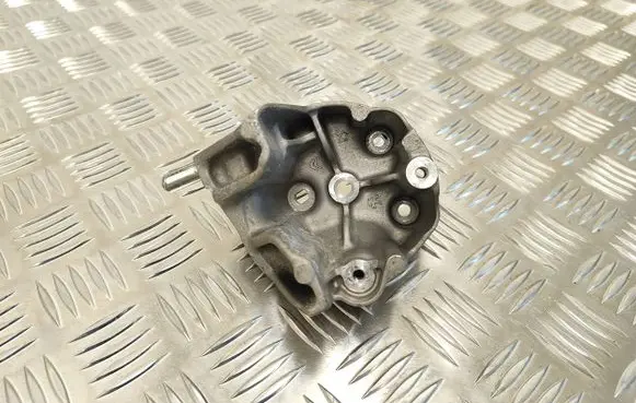 Peugeot Partner III Fuel pump bracket 9824088780