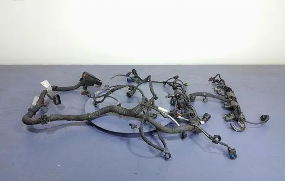 Other wiring loom