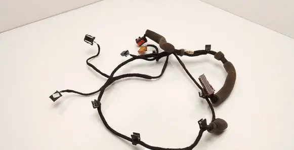 Volkswagen Touran I Front door wiring loom 1T0971557P