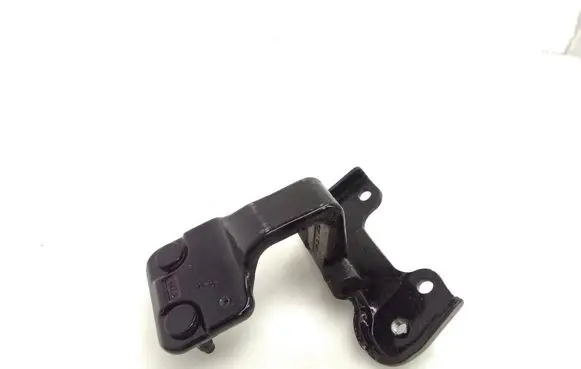 Tailgate/trunk/boot hinge