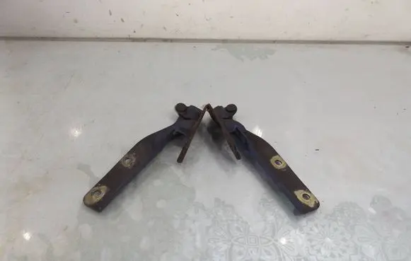 Fiat Doblo Engine bonnet/hood hinges
