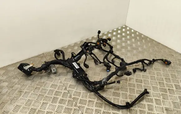 Engine installation wiring loom