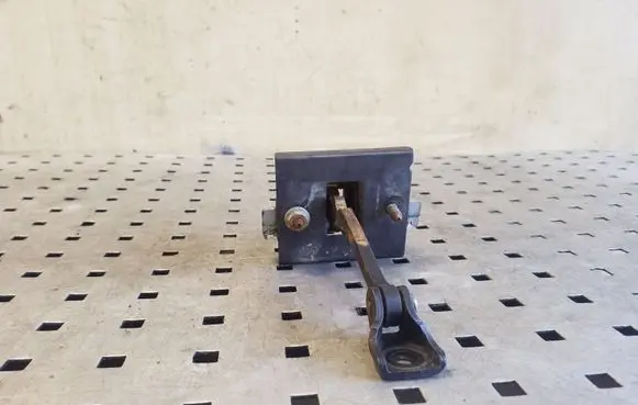 Citroen DS4 Front door check strap stopper