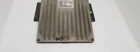 KIA Carnival Engine control unit/module 391024X520