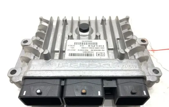 Engine control unit/module ECU