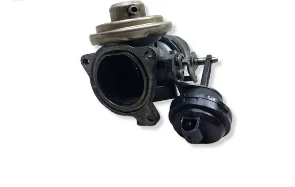 Volkswagen Golf IV EGR valve 038131501EKASACJA 038131501E