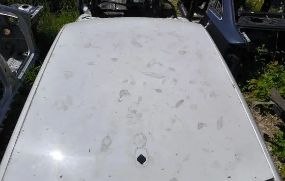 Audi A7 S7 4G Roof 