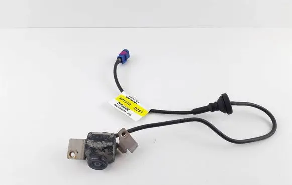 Tesla Model S Reversing camera 106126900C