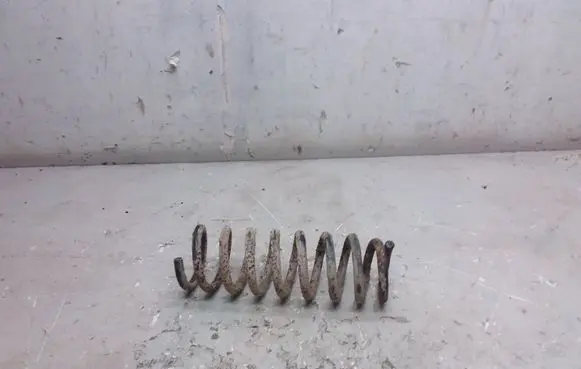 Rear coil spring