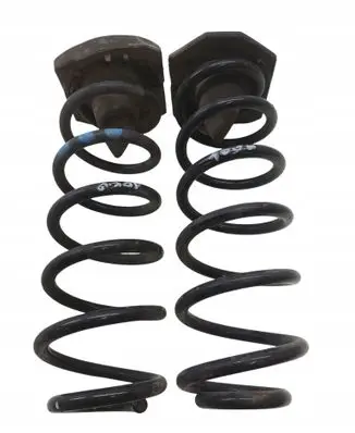 Rear coil spring
