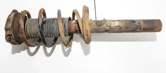 Skoda Octavia Mk2 (1Z) Front shock absorber/damper