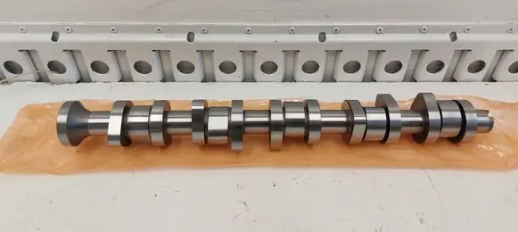 Volkswagen Transporter - Caravelle T5 Camshaft 809294401 1000003 4059191210633