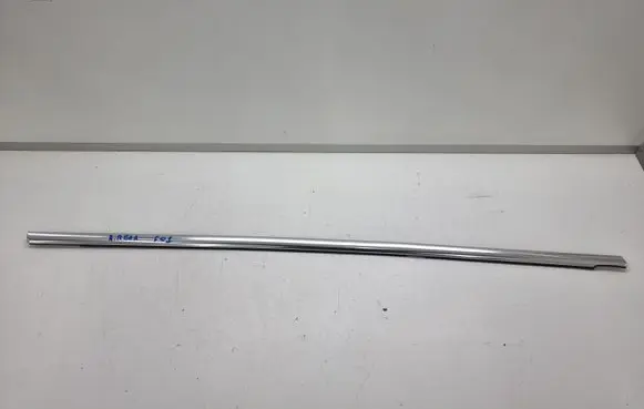 Rear door trim (molding)