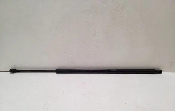 Ford Kuga II Tailgate/trunk strut/damper GV41S406A10AB
